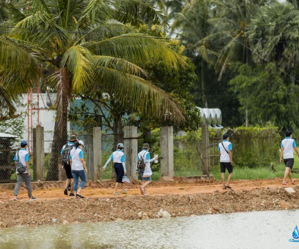 Vital, International Mangrove Conservation Day 2021