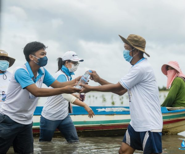 Vital, International Mangrove Conservation Day 2021