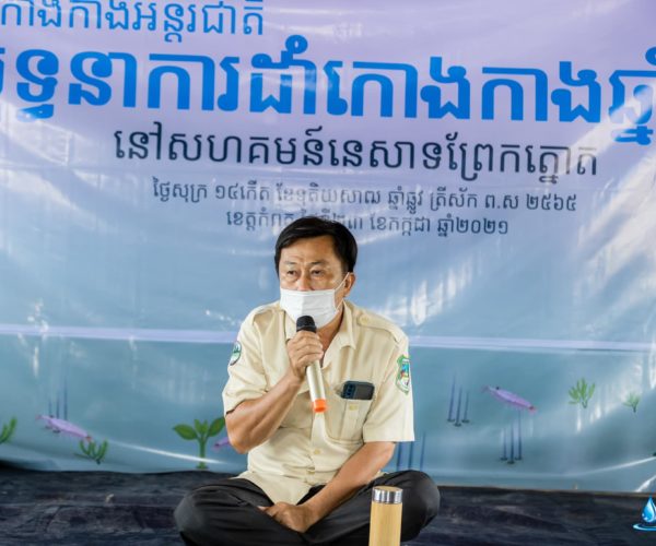 Vital, International Mangrove Conservation Day 2021