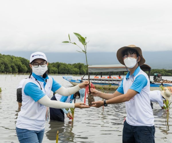 Vital, International Mangrove Conservation Day 2021